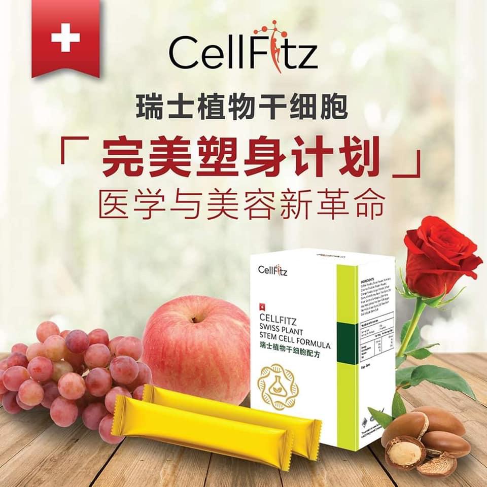 Cellfitz Swiss Plant Stem Cell Formula (3 Box)